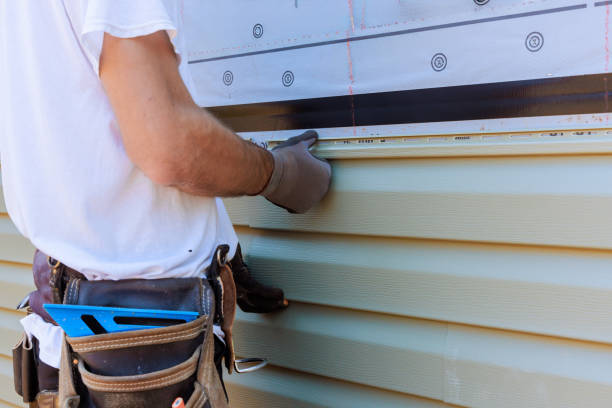 Affordable Vinyl Siding solutions in Thornton, IL